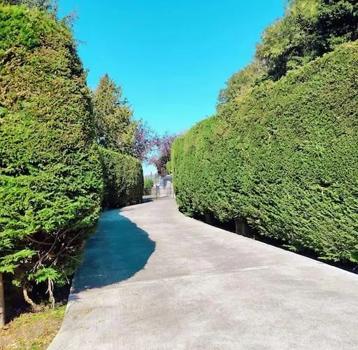 Entire At Ballysax House